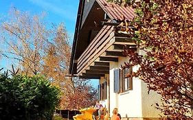 Pet&Family Friendly House Viktorija - house near Golica with Triglav view